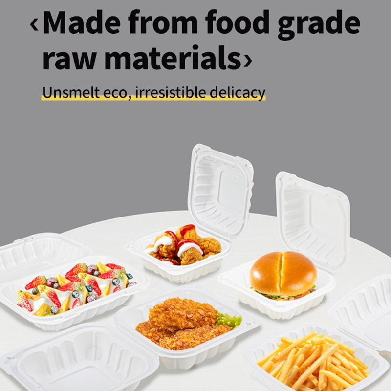 How to Choose the Best Disposable Bento Containers for Your Business Needs