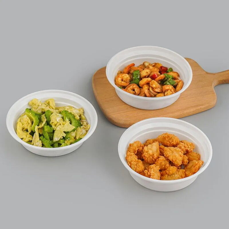 What Are the Latest Trends in Disposable Plastic Lunch Box Designs?