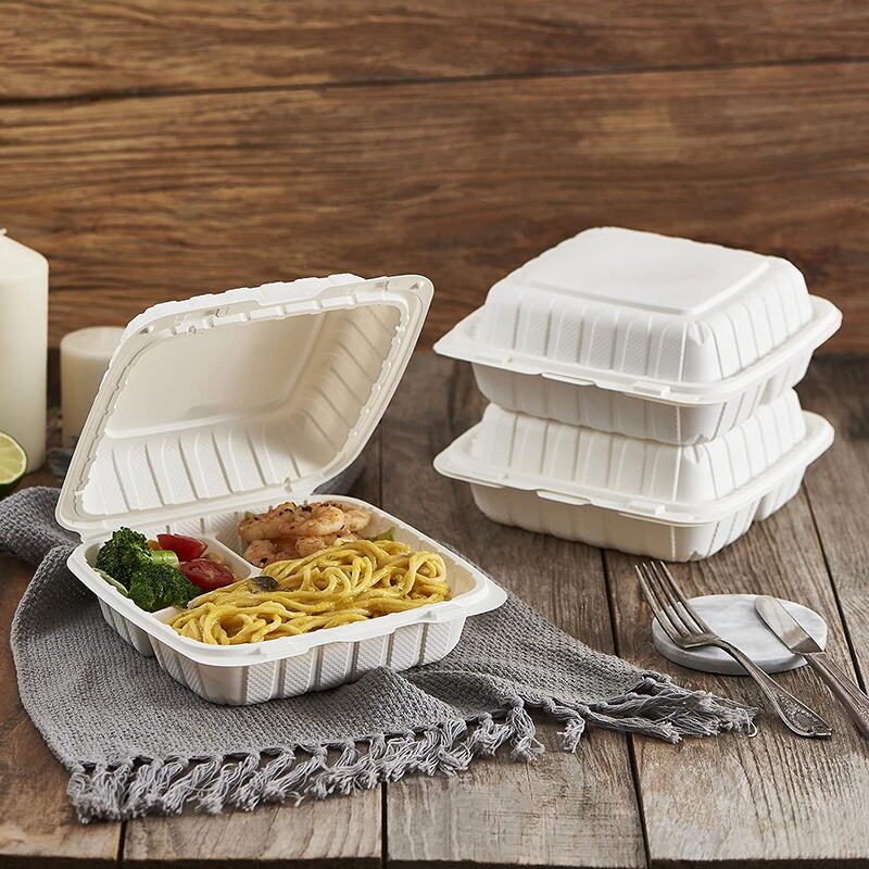 What Types of Plastic Disposable Containers Are Best for Food Packaging?