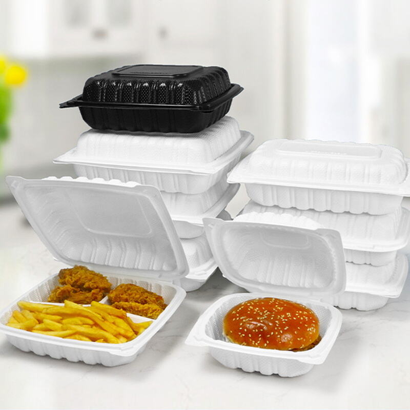 What Makes Disposable Bento Containers a Sustainable Choice?