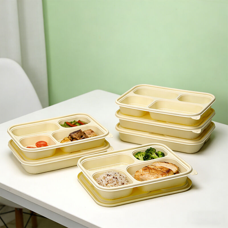 Biodegradable Cornstarch Takeaway Food Containers with Lids, Compostable Rectangular Multi-Compartment Disposable Lunch Boxes