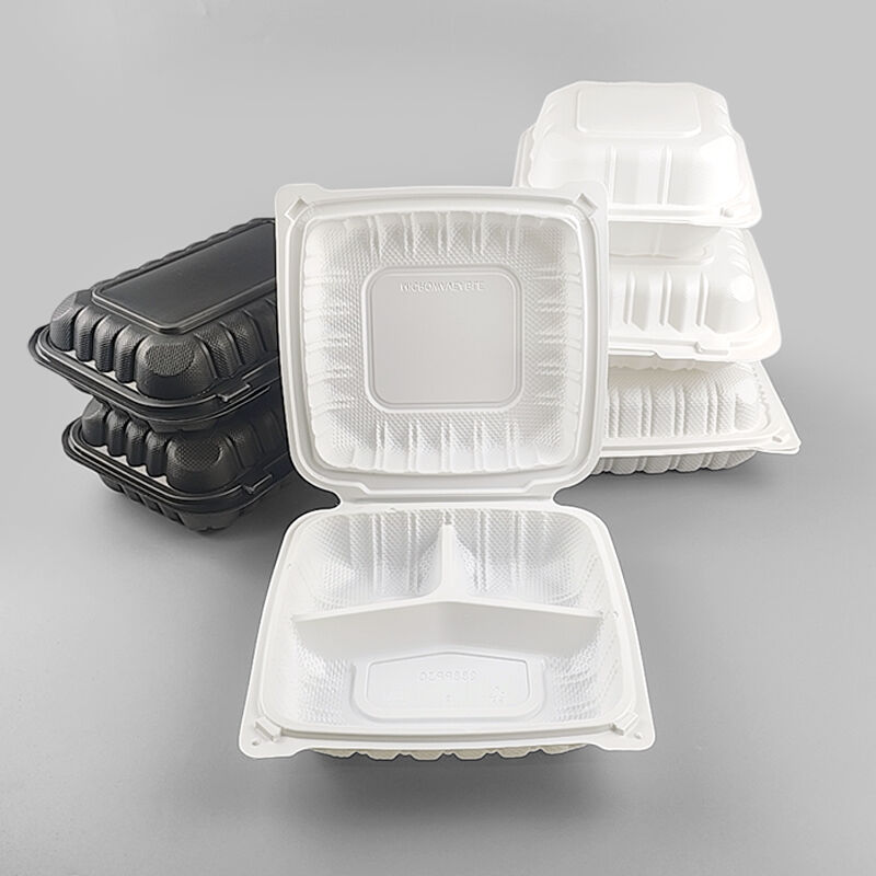 Common Usage Issues with Disposable Plastic Boxes and How to Avoid Them
