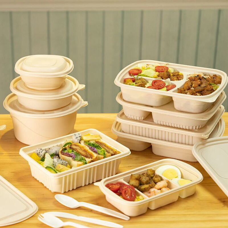 Eco-Friendly Multi-Compartment Cornstarch Disposable Food Container | Microwave-Safe Takeout Box
