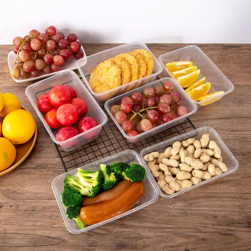 What Are the Common Usage Issues with PP Food Containers and How to Avoid Them?