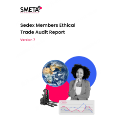 KIMTEX Sedex-4P(ZAA600119635)-2025