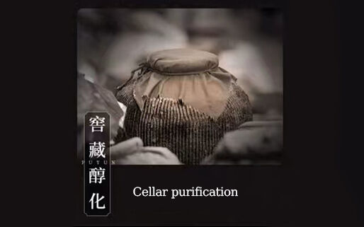 Cellar purification