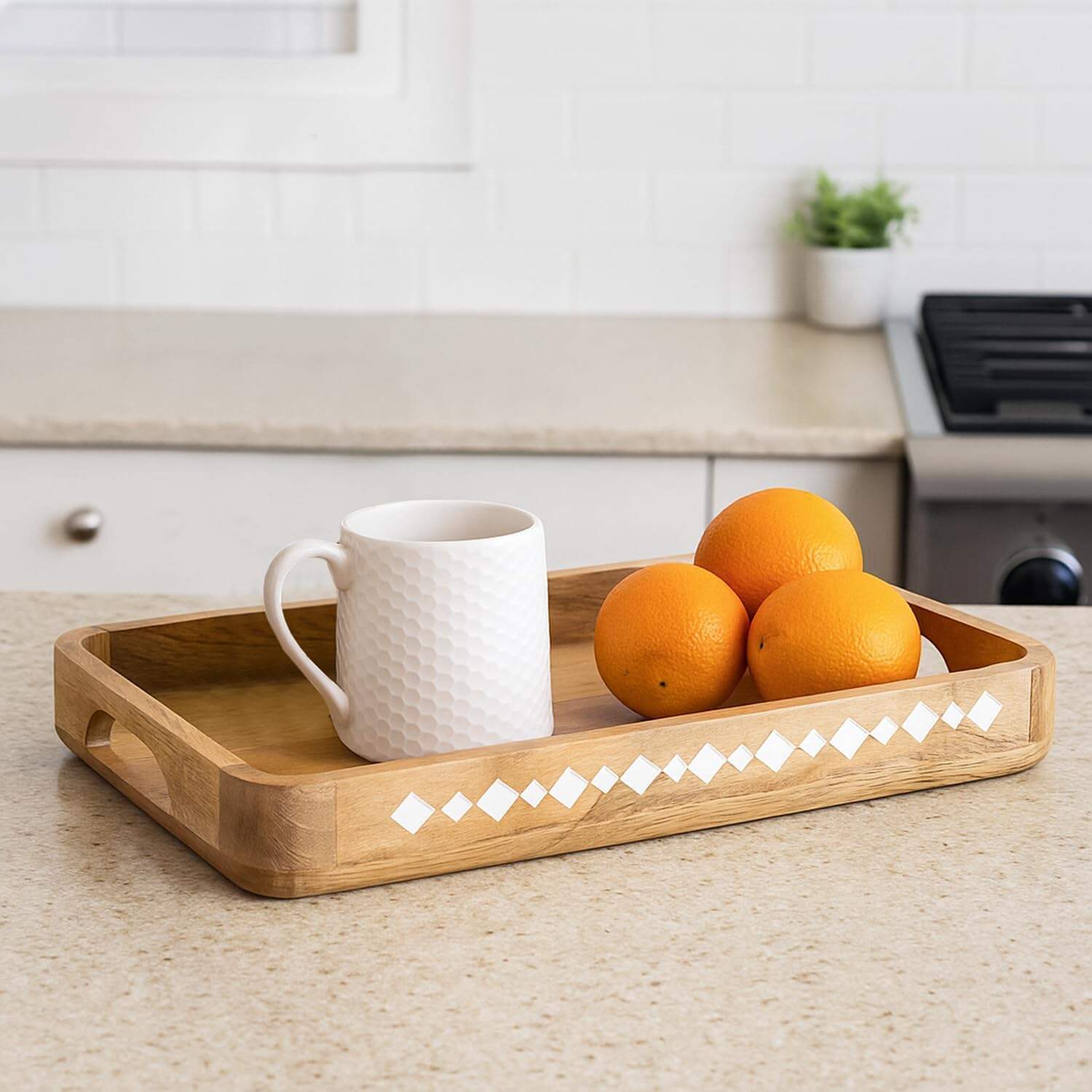 What Makes Eco-Friendly Trays a Trending Choice in Wholesale?