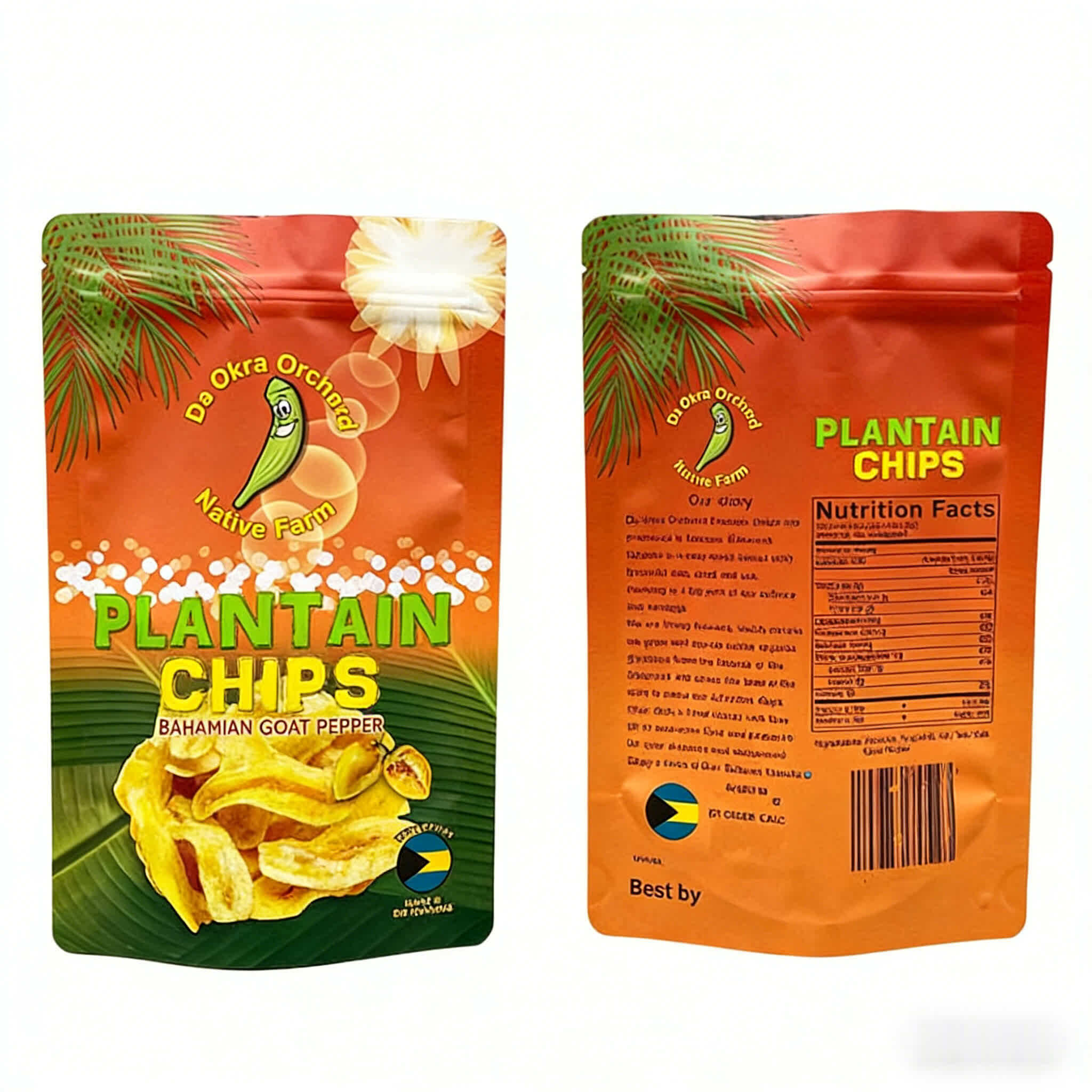 Custom Glossy Stand-Up Pouch for Dried Plantain Chips Plastic Packaging