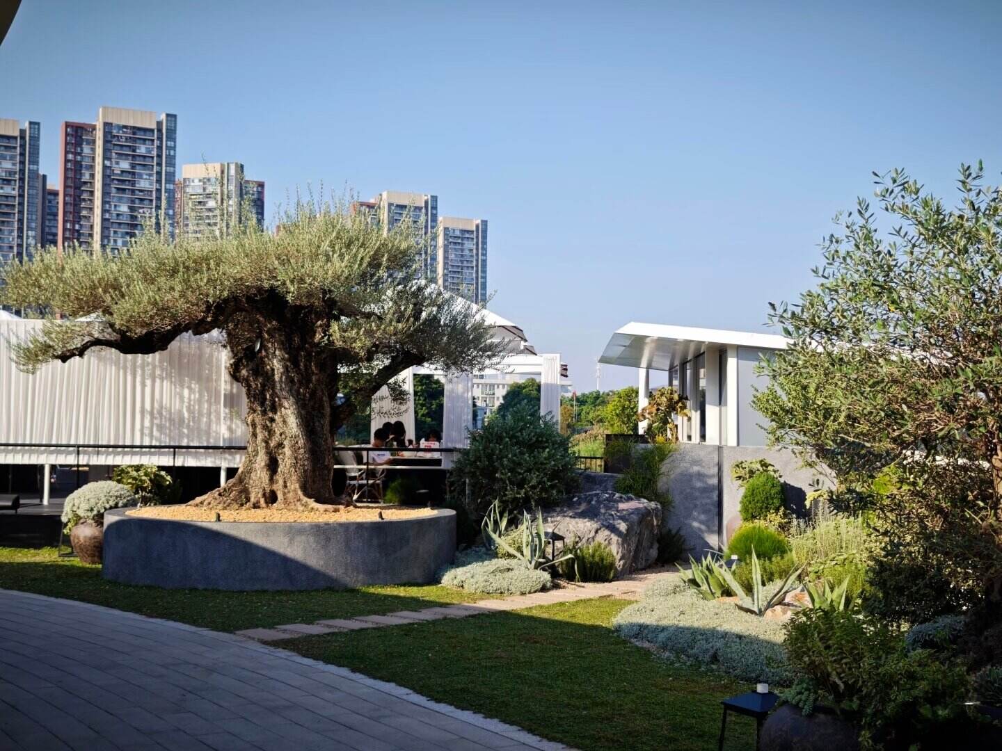 Results and Partnership-2