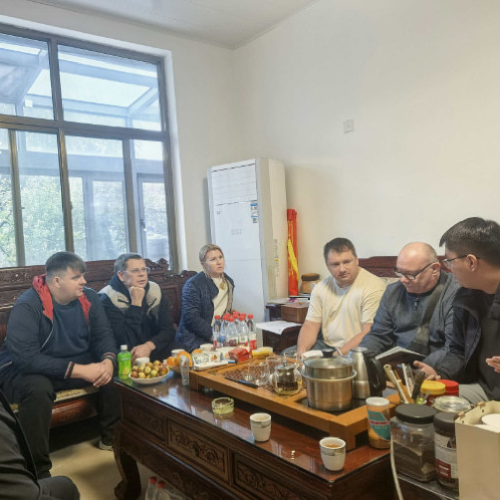 Strength testifies to success, mutual benefit leads to a bright future | A delegation of renowned Russian enterprises visited Daerye Electric Machinery for inspection and exchange of views