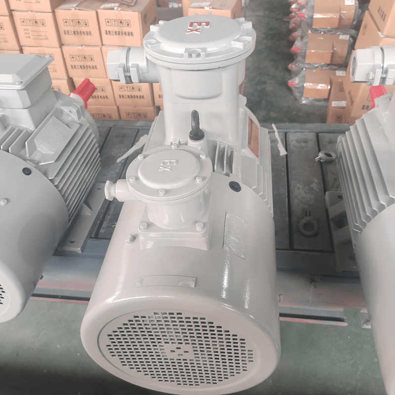 【YBBP160L-6 - YBBP315M-6】 【11-90kw】【15-122.4hp】 BRUNAVÉRKFAÐUR ÞRÍSKRAÐUR ASYNKRÓNUMOTOR