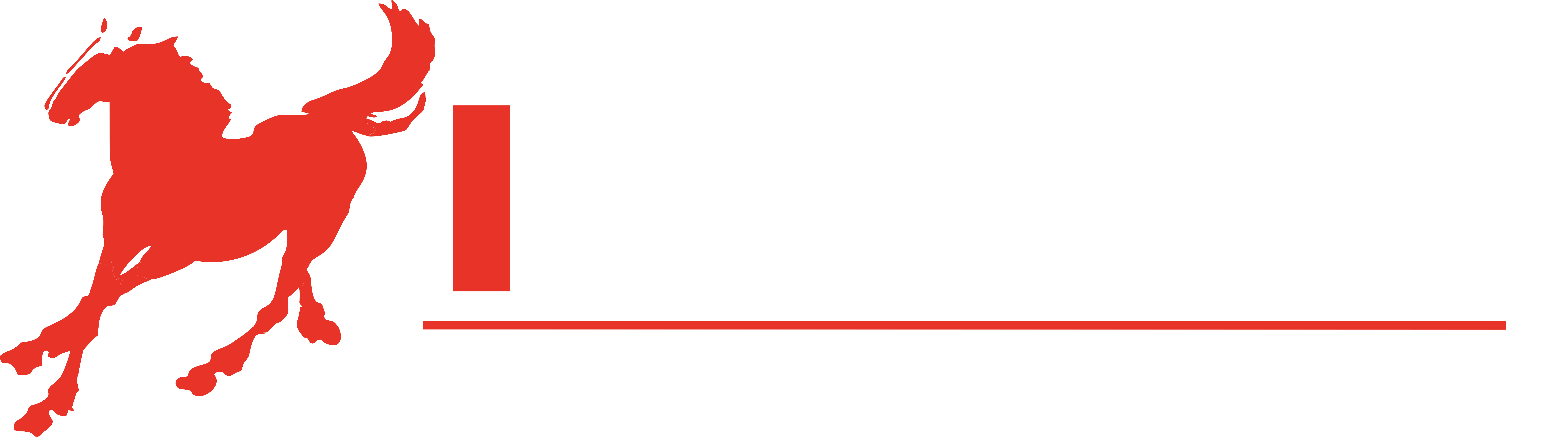 ZHEJIANG PONEY ELECTRIC CO.,LTD.