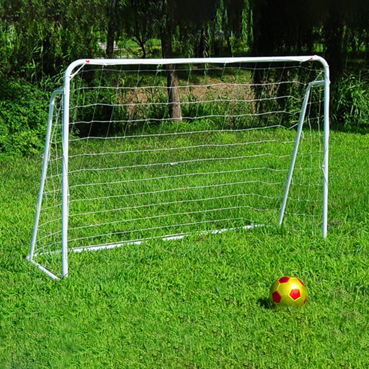 Versatile Performance Across Conditions