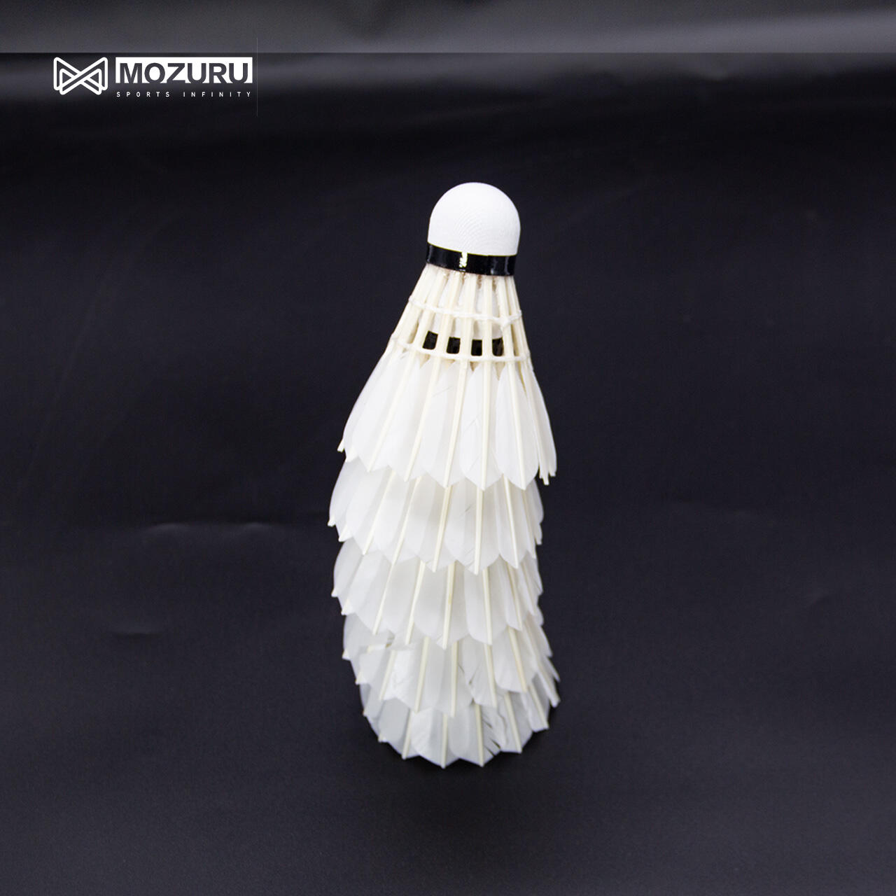 Advanced Technology Integration