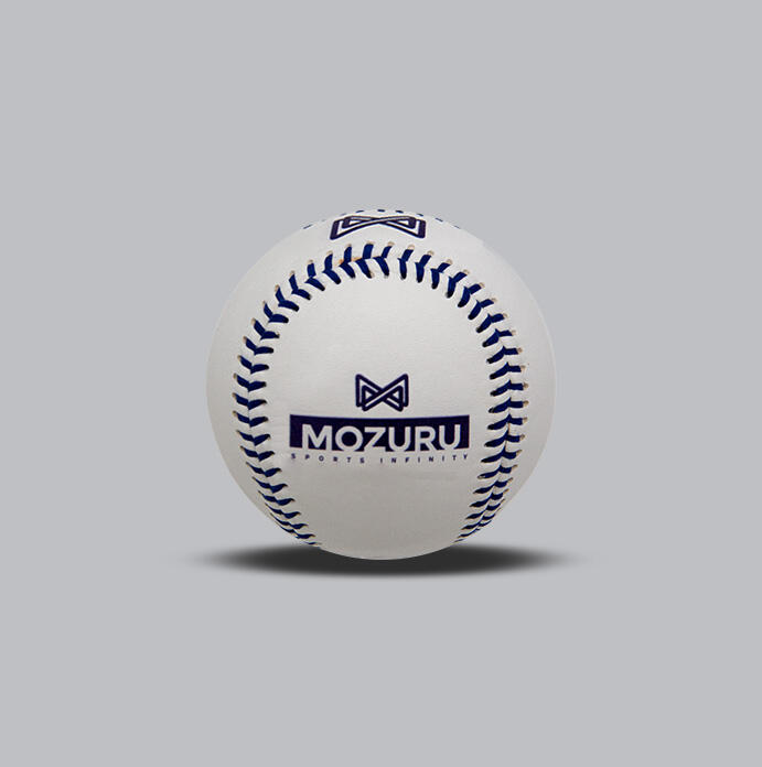 Professional Performance Standards