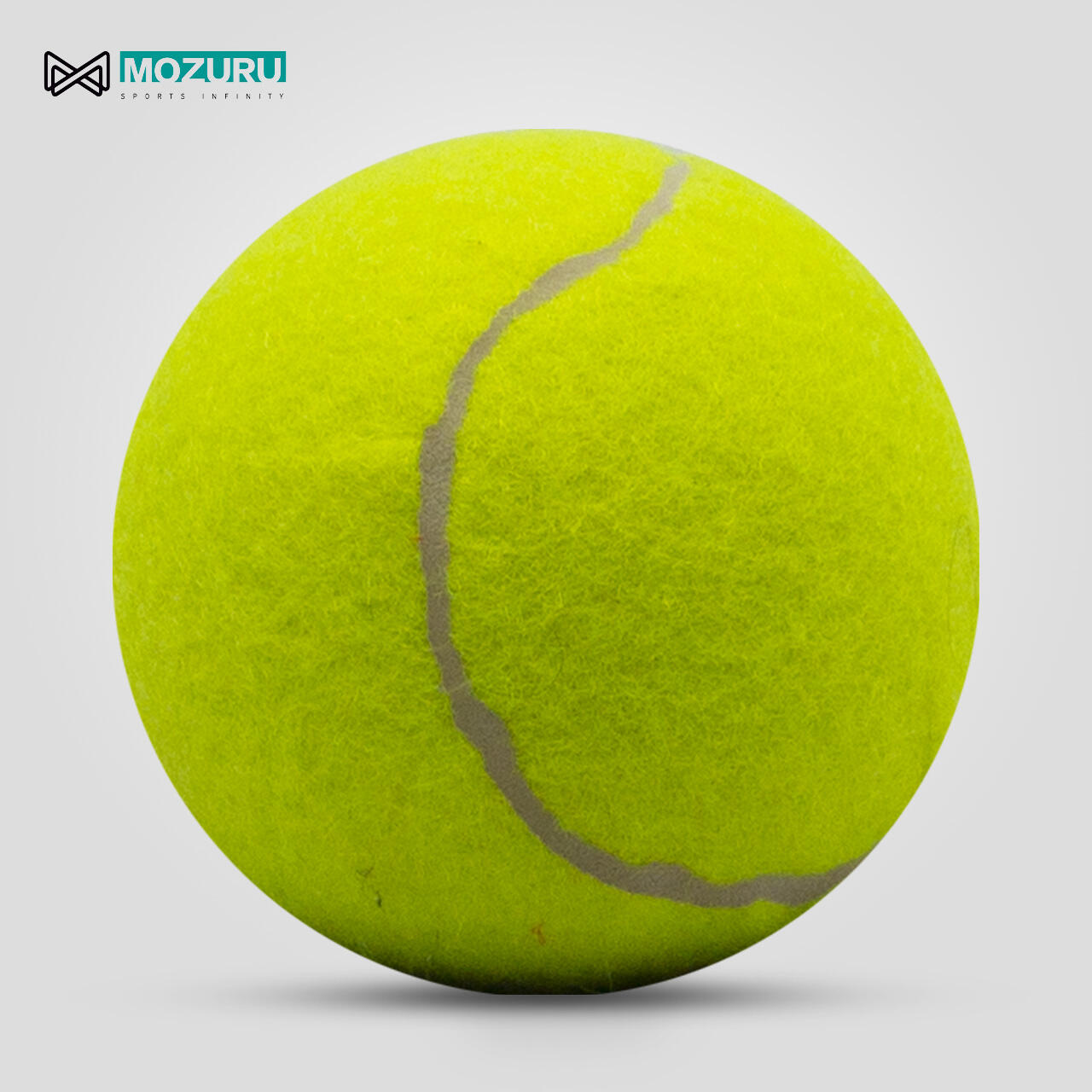 Customization Capabilities