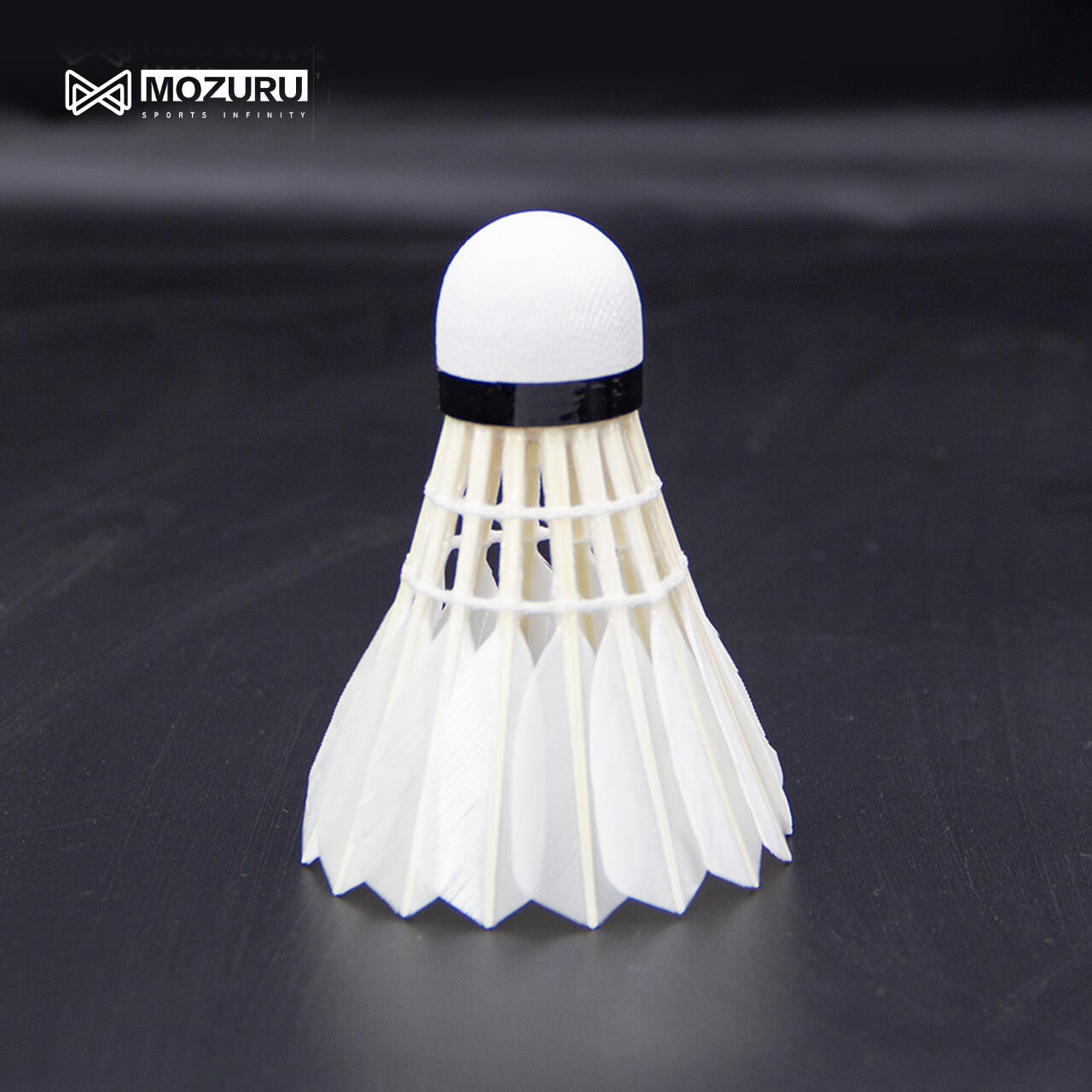 Revolutionary Stability System