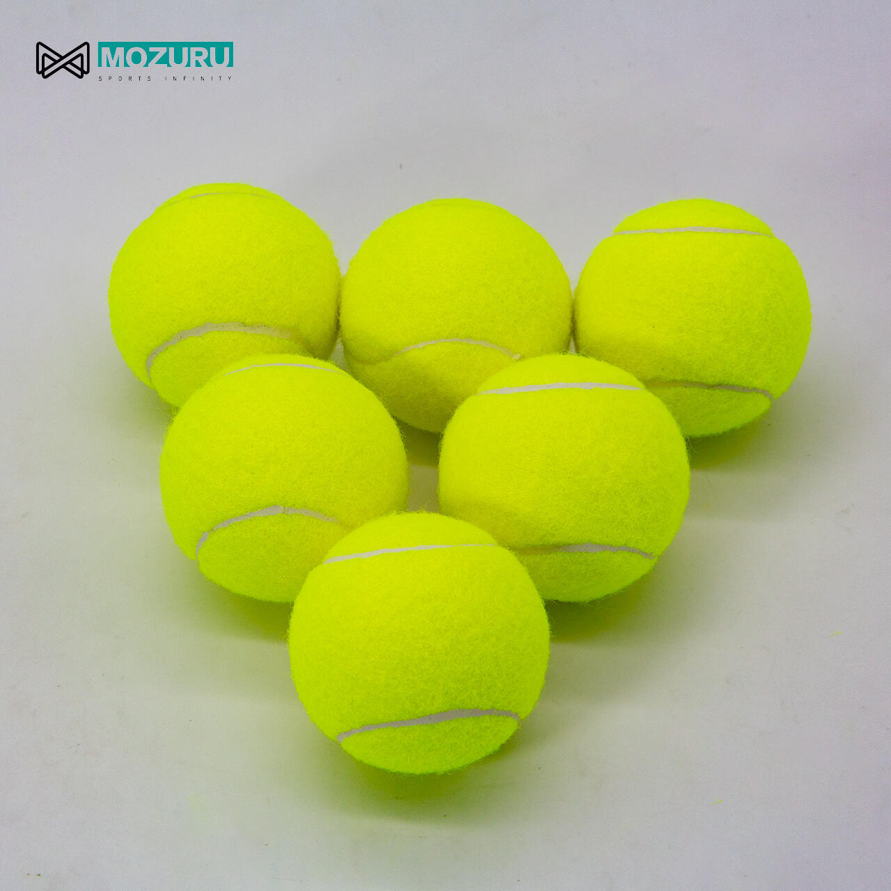 Enhanced Flight Control System