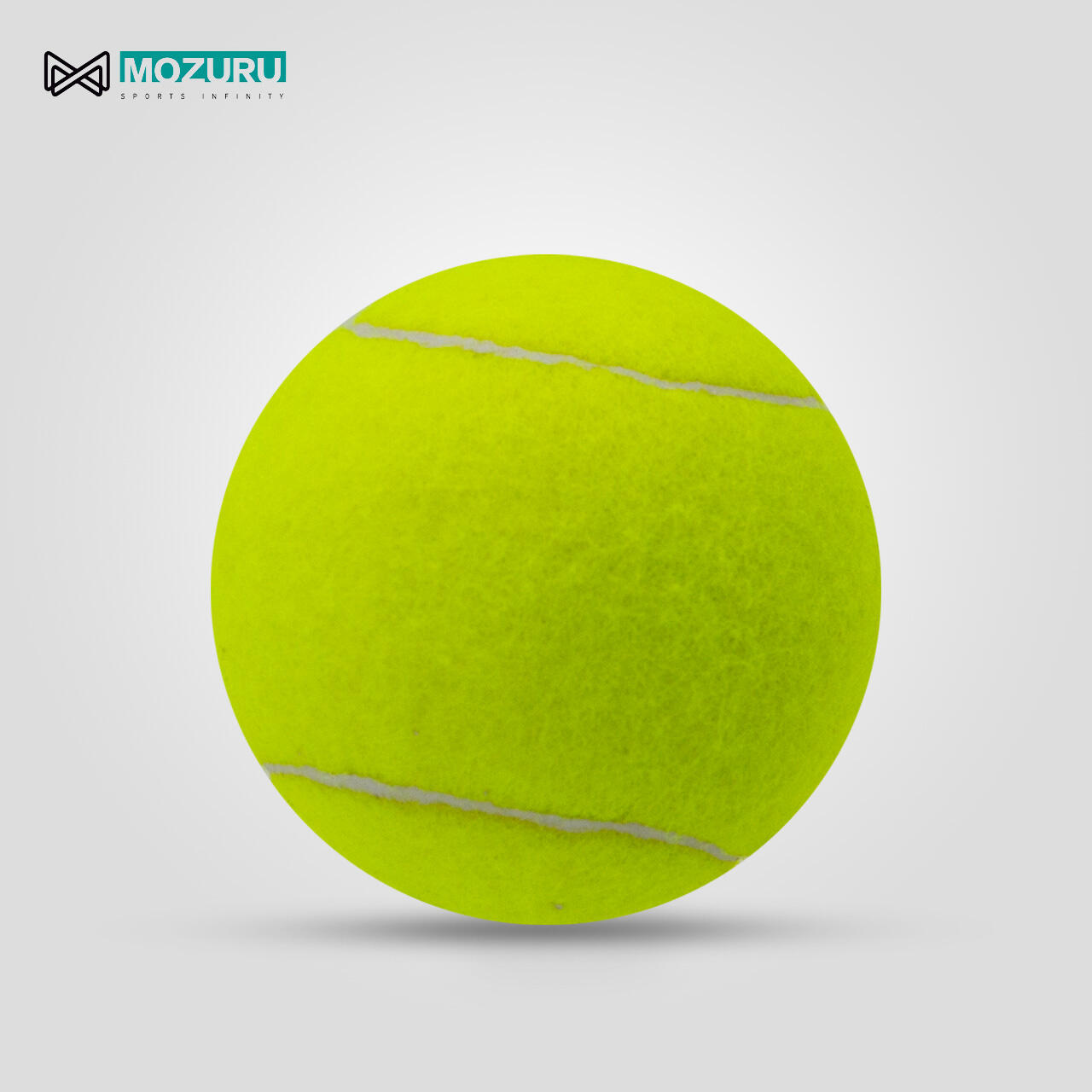 Precision-Engineered Flight Dynamics