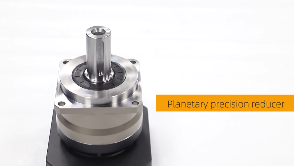 Precision planetary reducer