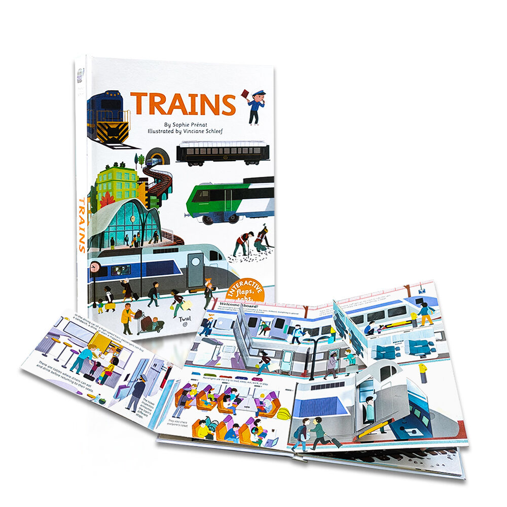 Comprehensive Educational Content and Curriculum Integration