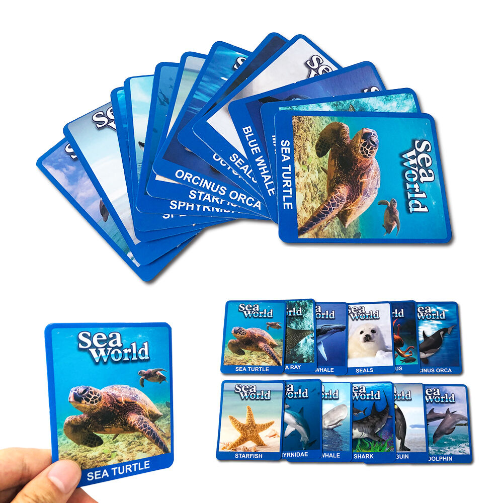 Superior Durability and Professional Quality Construction