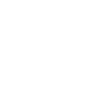Optional Function
