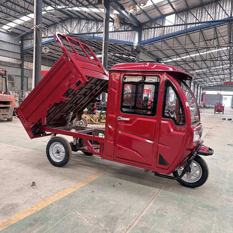 Cargo Electric Tricycle Mini Dumper Electric Dump Truck for Adult Material Transport & Passenger