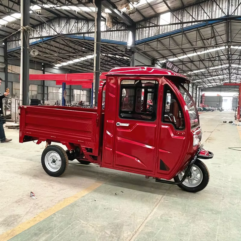 cargo electric tricycle mini dumper electric dump truck for adult material transport  passenger-7