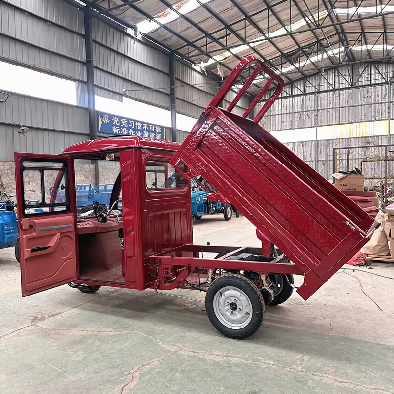cargo electric tricycle mini dumper electric dump truck for adult material transport  passenger-8