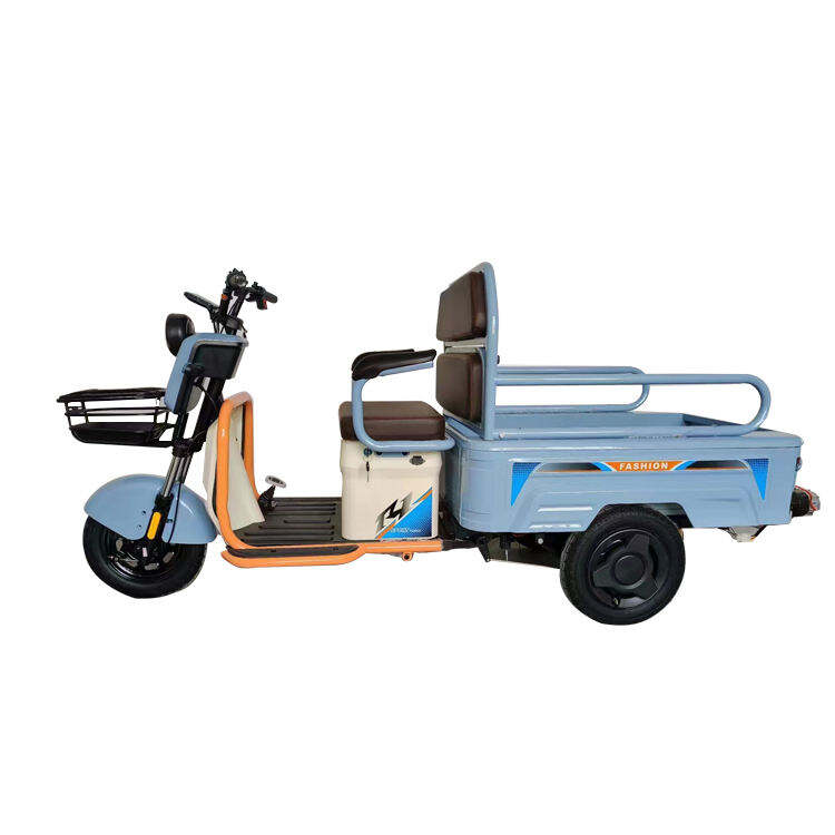 600W 800W Electric Tricycle for Passenger E-Bike