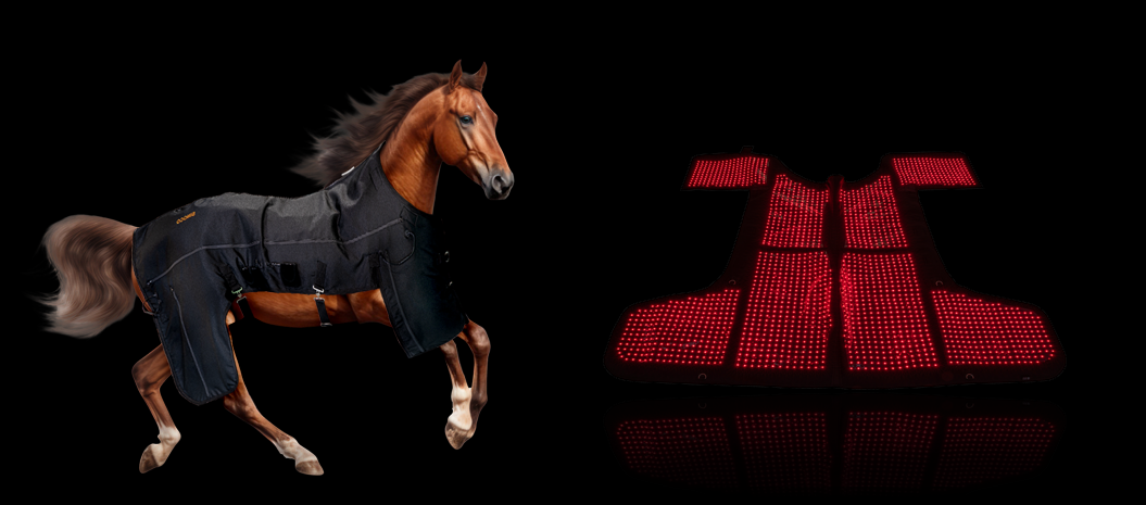 Horse Light Therapy