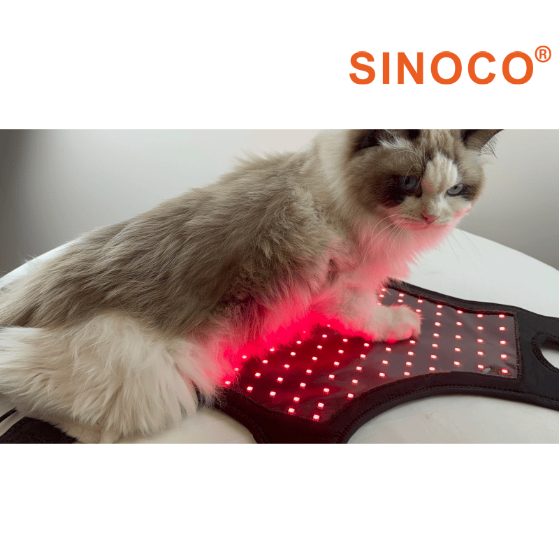 Pardos de terapie luminiscentă pentru câini cu lumina roșie și infraroșu pentru sănătatea animalelor