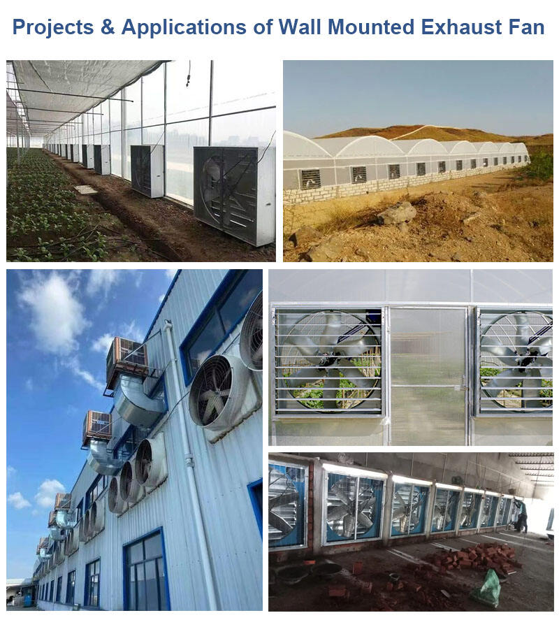 负压风机应用图片整合.jpg