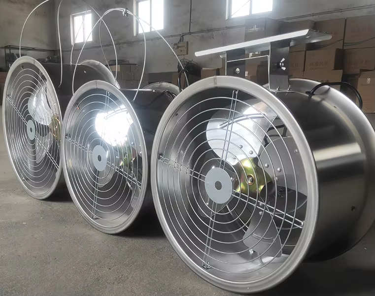 Qingdao Pengsheng Electric Appliance: Ihr Experte für Ventilatoren