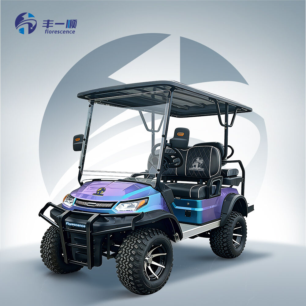 New 2 4 6 8 Seater Hunting Club Golf Cart Scooter 4 Wheels Adult High Quality Lifted for Sale