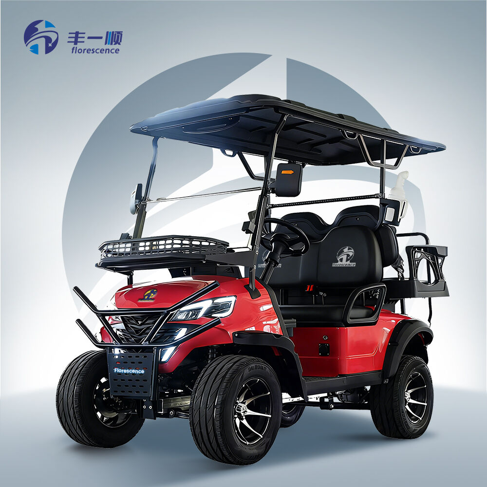 2+2 Seat Off-Road Electric Golf Cart Utility Big Wheel Hunting Club Car
