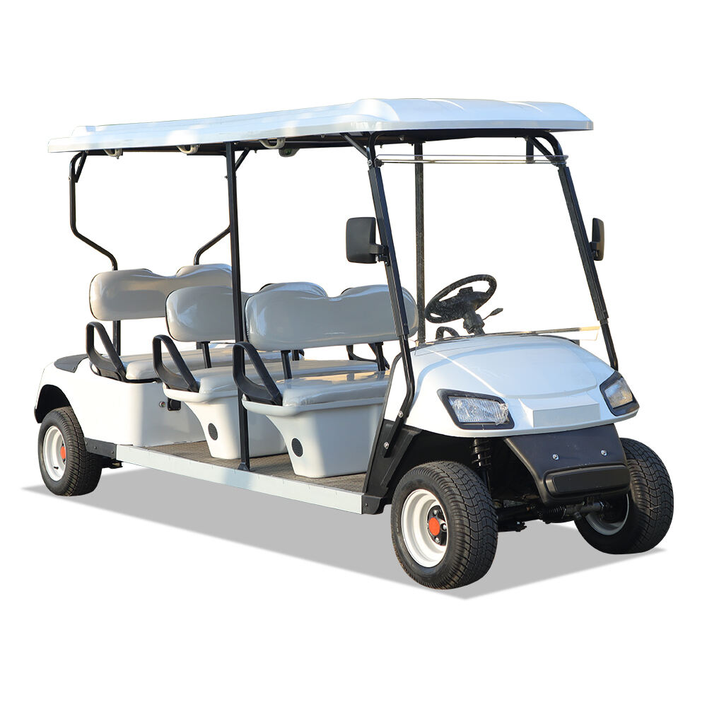 Cost-Effective Transportation Solution