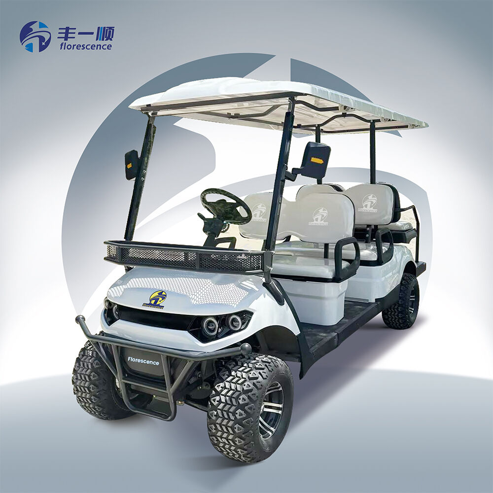 Pribadong Golf Carts Mura Luxurious 6 Upo Low Speed Vehicle 4 Wheel Drive Pindutin ang Elektrikong Legal sa Kalsada Golf Cart para sa Paggamit