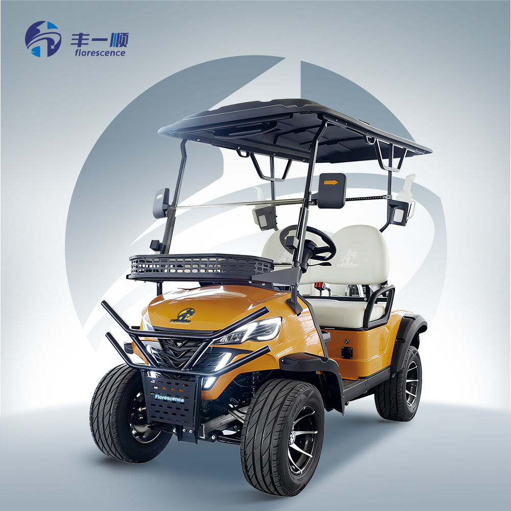 Ახალი სტილი ექსკლუზიური პარტნიორისთვის ახალი დიზაინი 2 მგზავრის ელექტრო გოლფის მანქანა ლითიუმის ბატარეით