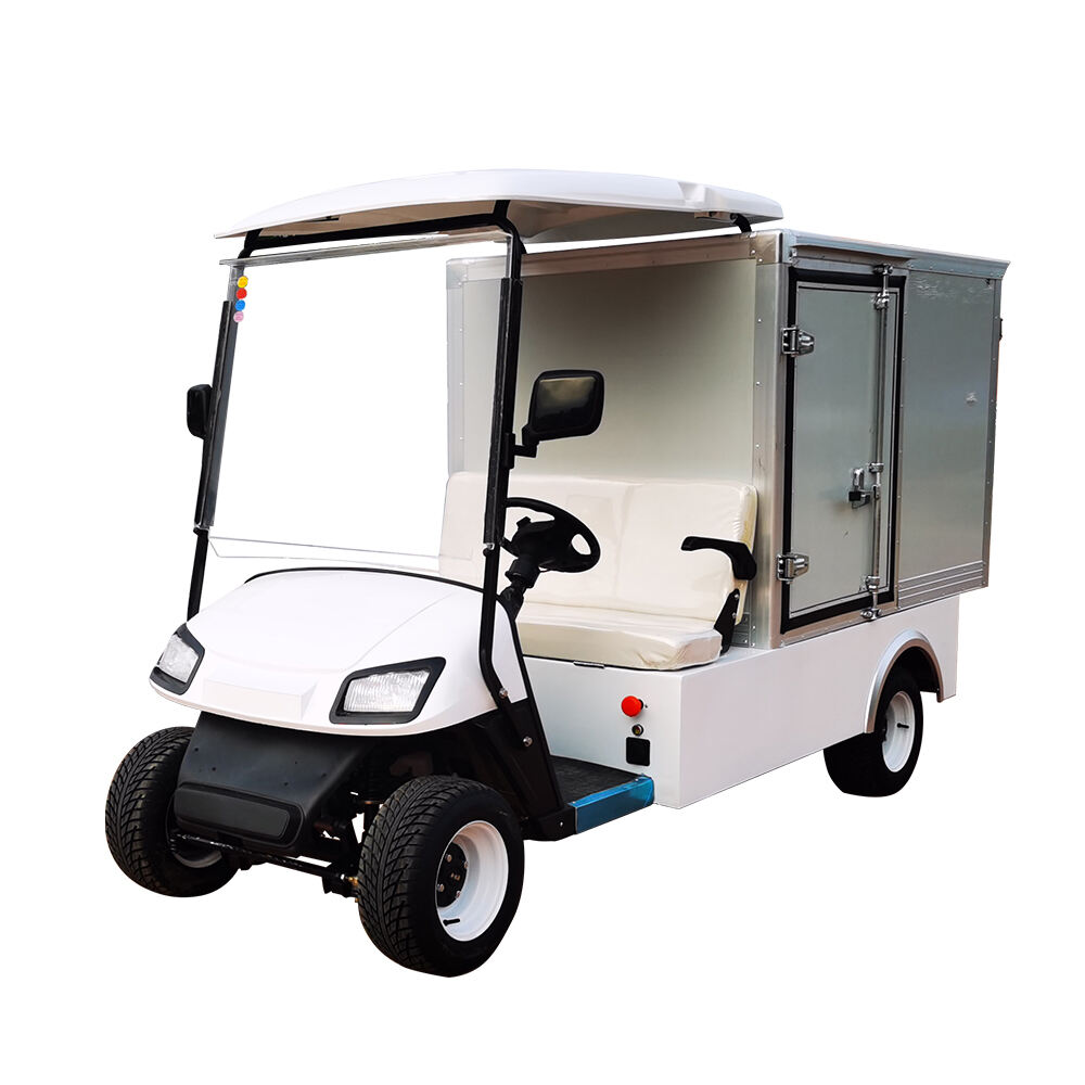 What Advantages Make an Electric Golf Cart Ideal for Daily Resort Transport?