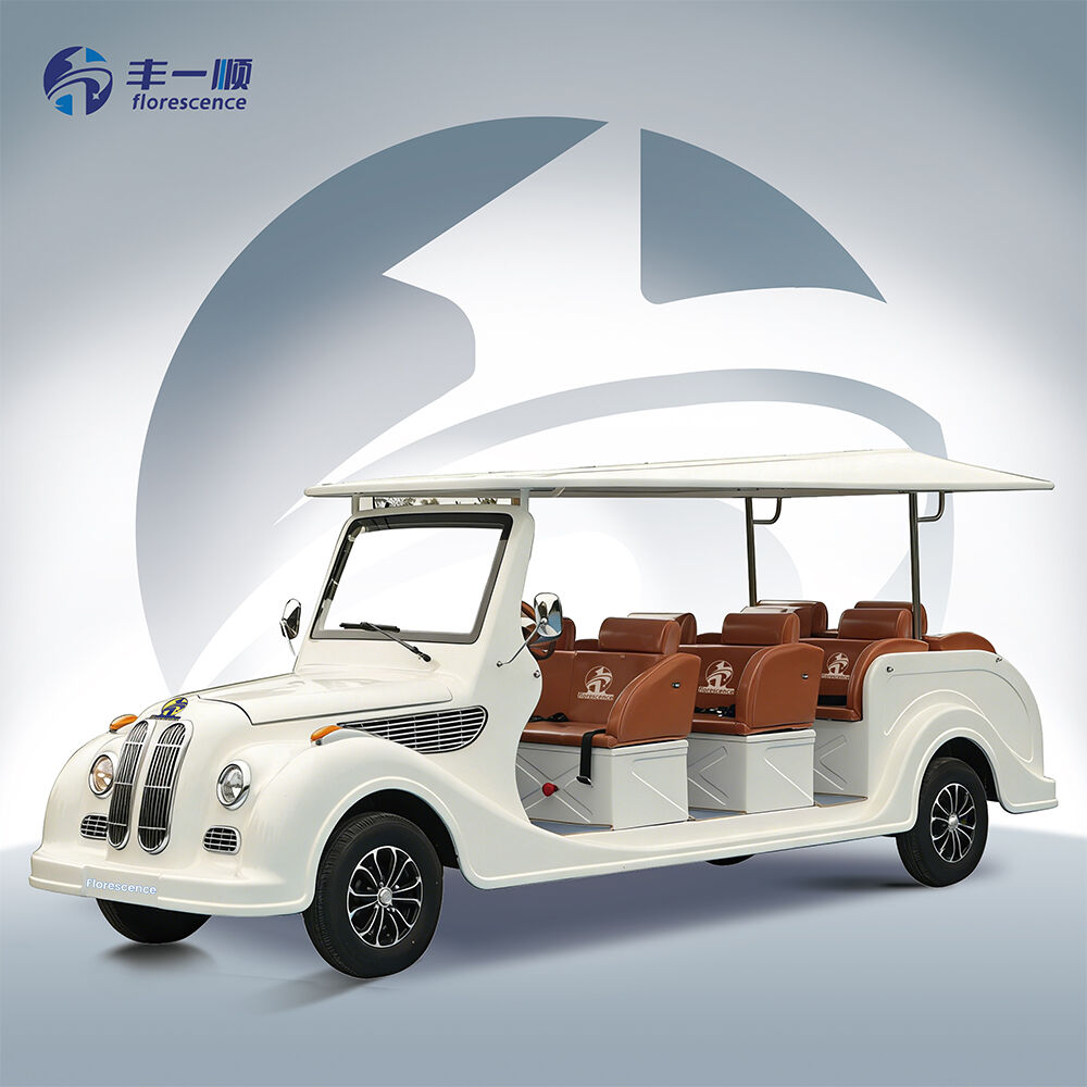 Nov dizajn staromodna 4-kolesna električna 8-sedea klasika za izleti na oddihu po naravi po cenah proizvodne enote za klube in kmetije