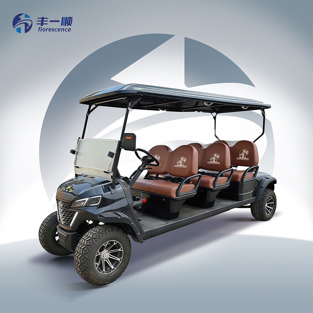 CE 2025 Aanpasbare 6-zits Elektrische Golfwagen Hoge Kwaliteit Buggy met 48V Lithium Accu Lage Prijs Compatibel met Club Car