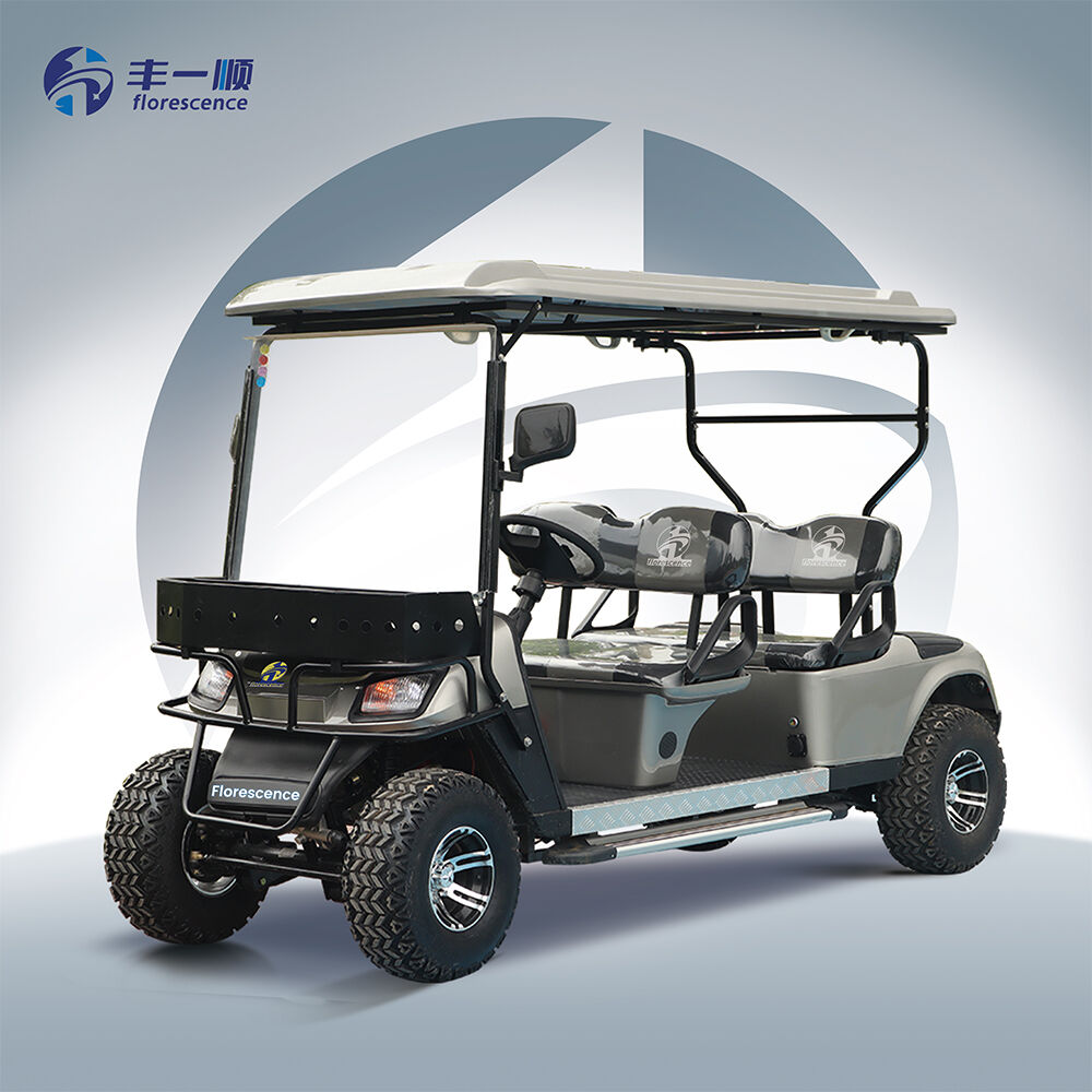 Murang Bagong Model at Mataas na Kalidad na Bagong Model Komportableng Elektrikong Pickup Truck 4 Upuan Elektrikong Golf Cart Golf Cart Car
