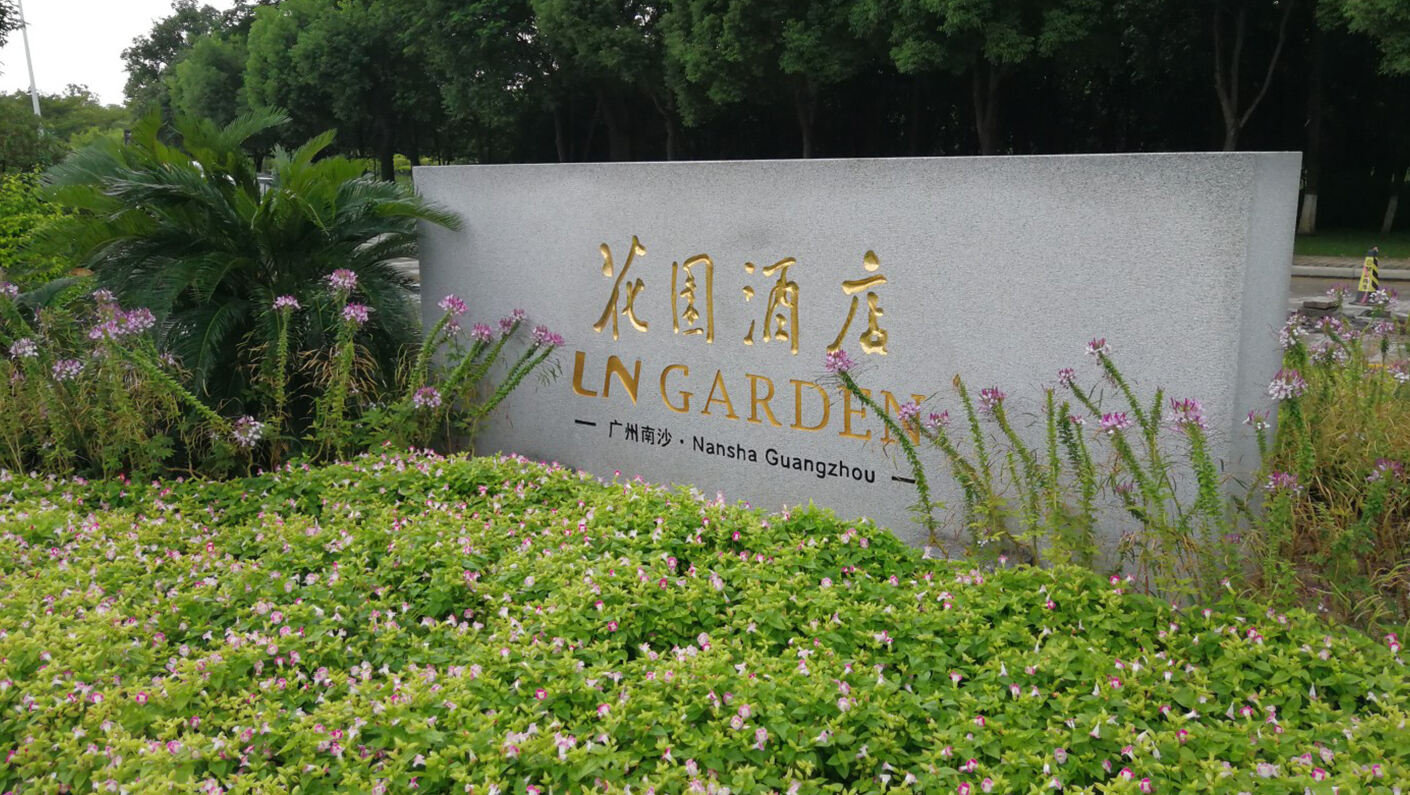 איך בוחרים יצרן שלטאות אמין?