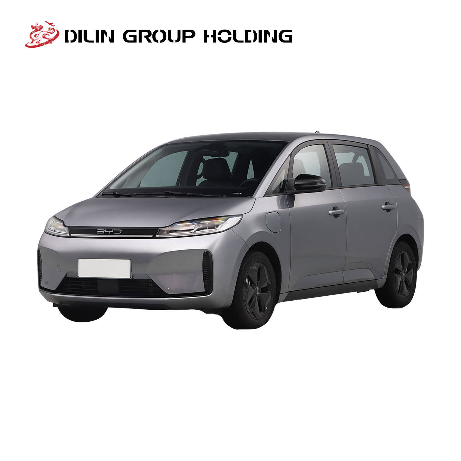 2023 High Quality BYD D1, Left-Hand Drive 5 Seats Intelligent Pure Electric Vehicle, Compact MPV Car