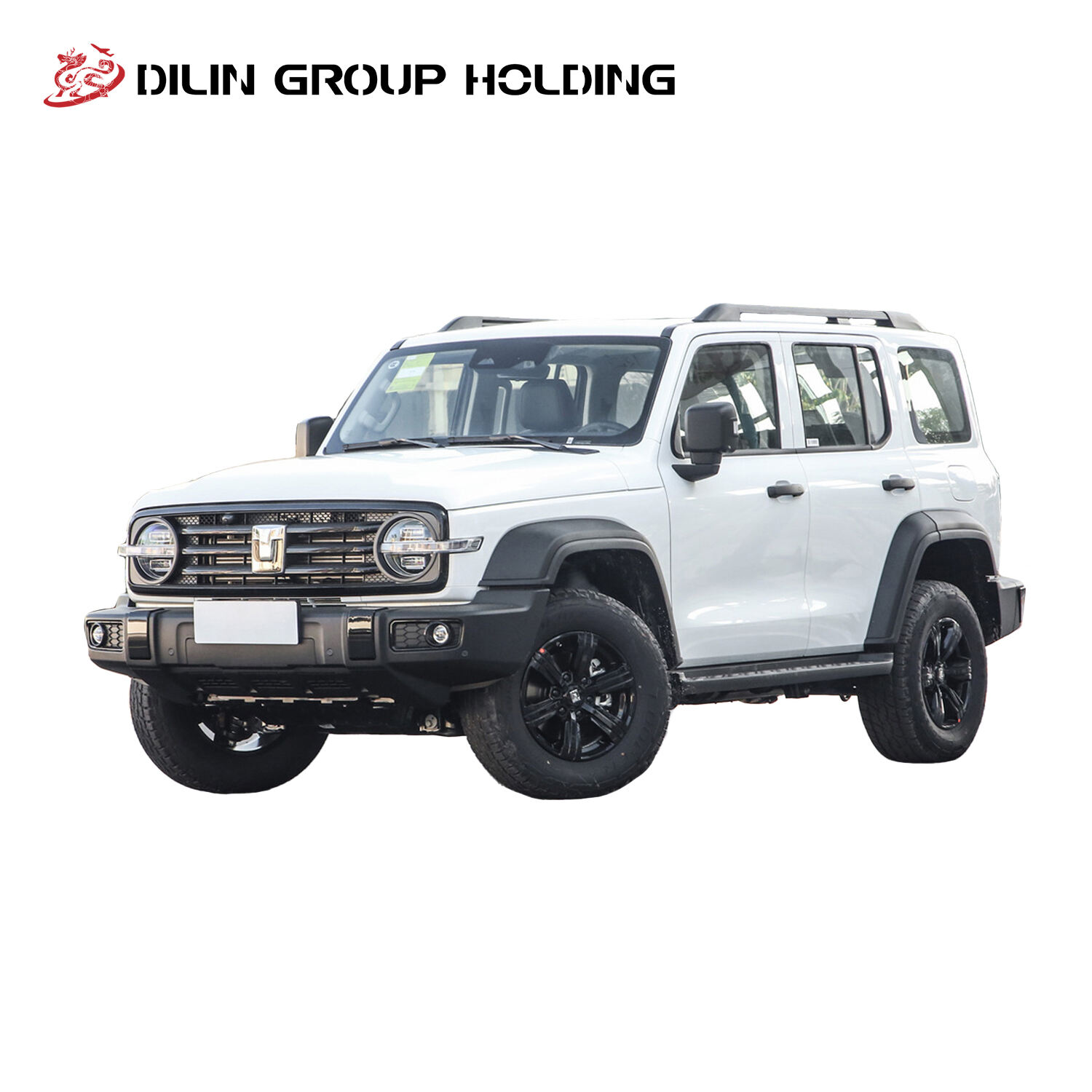 2024 High Quality Great Wall Tank 300, Left-Hand Drive 5 Seats Intelligent Gasoline Vehicle, Compact SUV