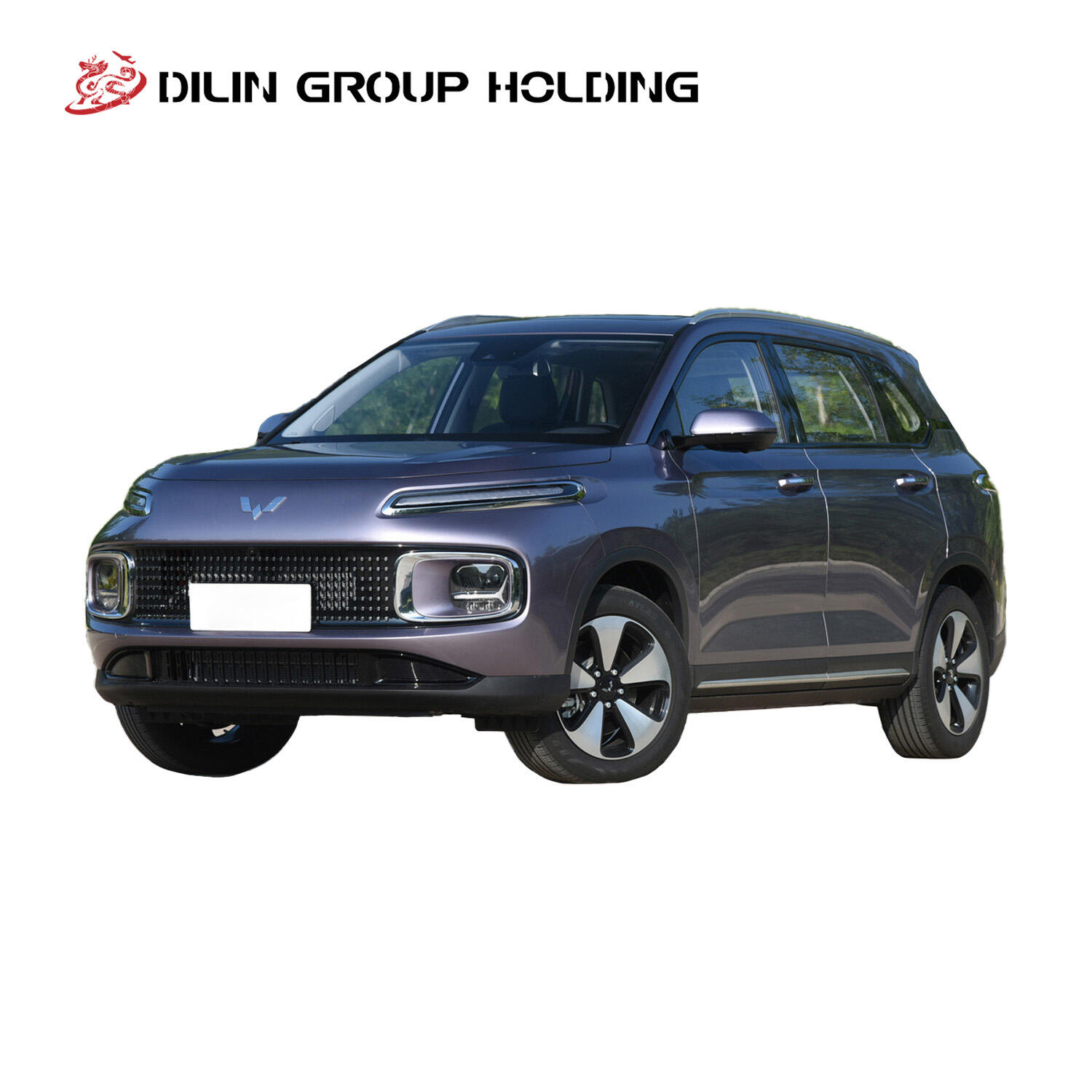 2024 High Quality Wu Ling Nebula Xing Yun, Left-Hand Drive 5 Seats Intelligent Hybrid Electric Vehicle, Compact SUV Car