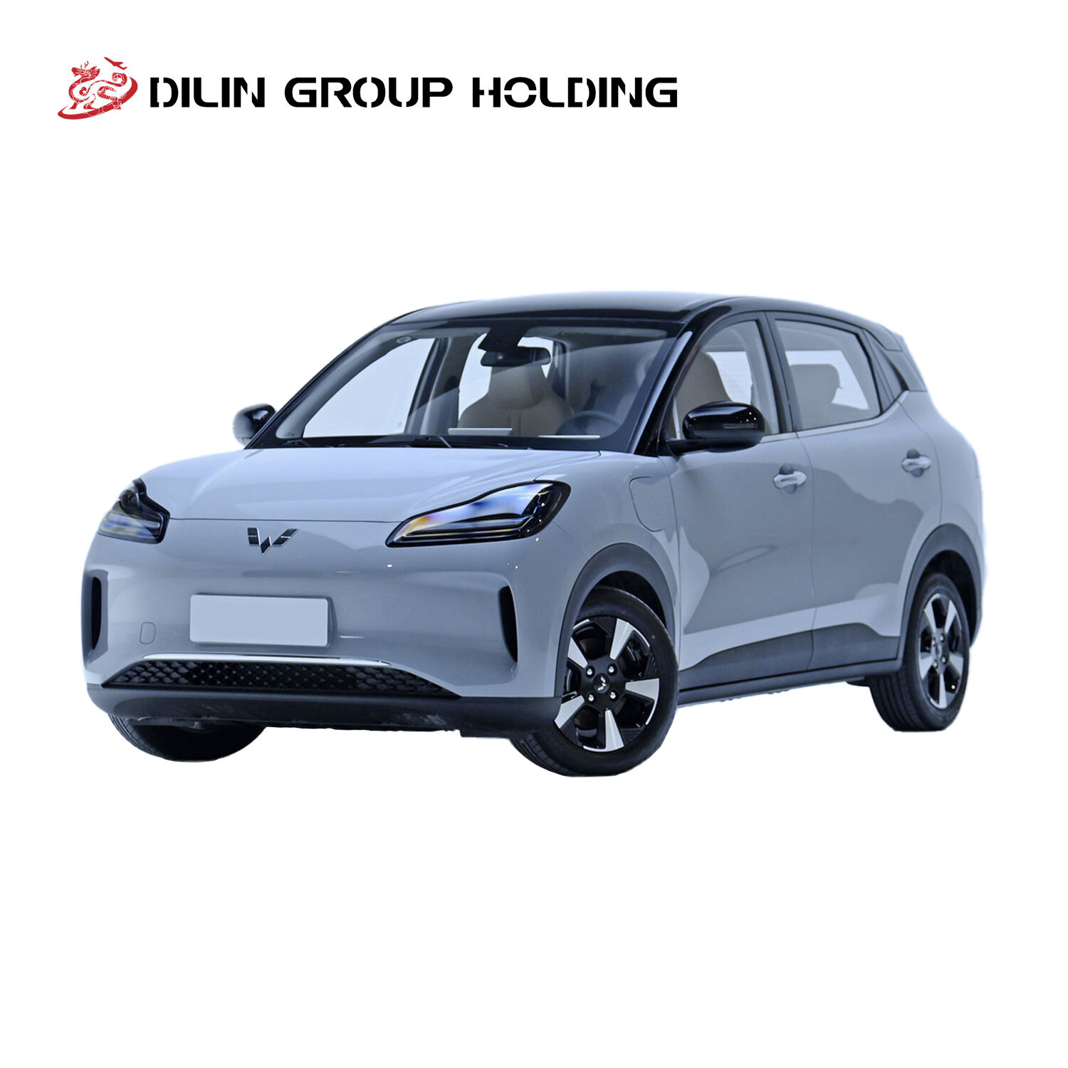 2024 High Quality Wu Ling Bingo Plus, Left-Hand Drive 4 Seats Intelligent Pure Electric Vehicle, Small SUV Car