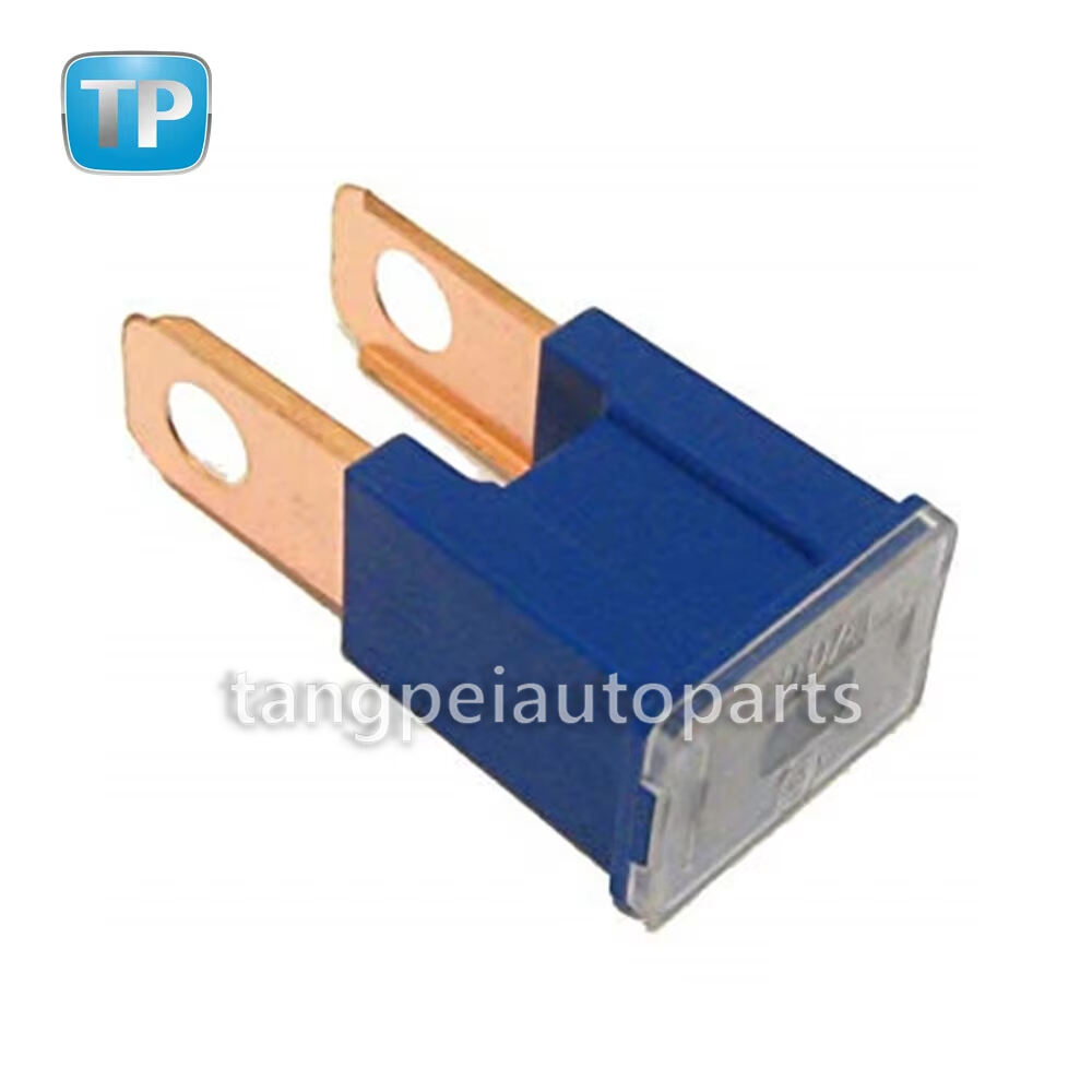 Mėlynas daugiafunkcis saugiklis 100 A